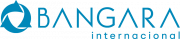 Caso: Bangara BPO